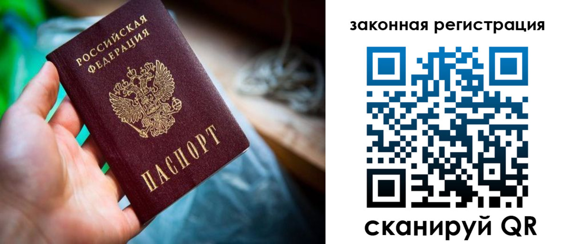 прописка в Калтане